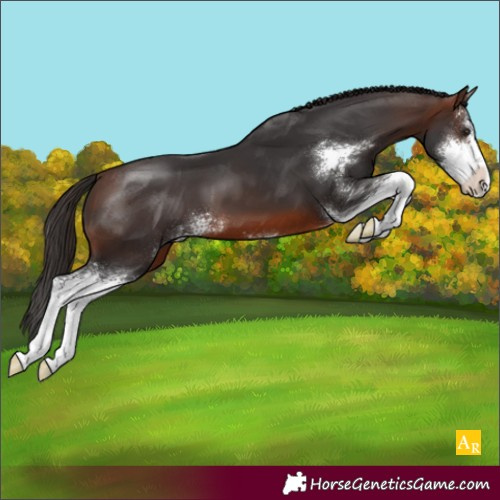 Horse Color:Brown Sabino