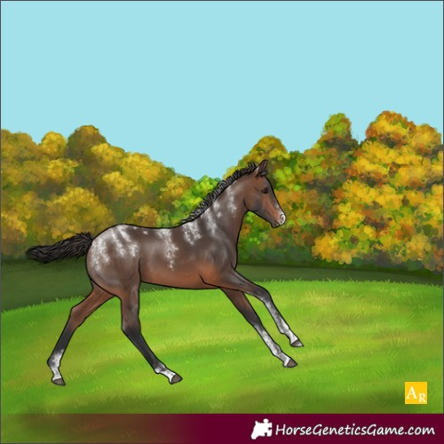 Horse Color:Powder White Brown 