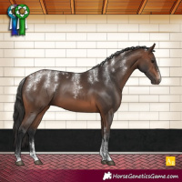Horse Color:Powder White Brown