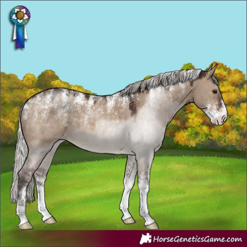 Horse Color:Powder White Silver Brown Dun