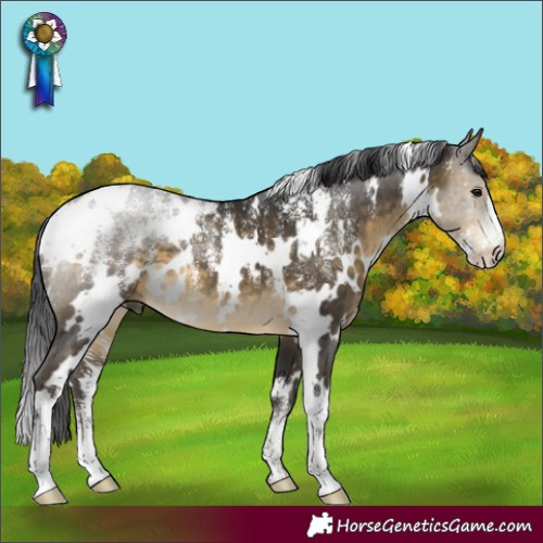 Horse Color:Powder White White Spotted Buckskin