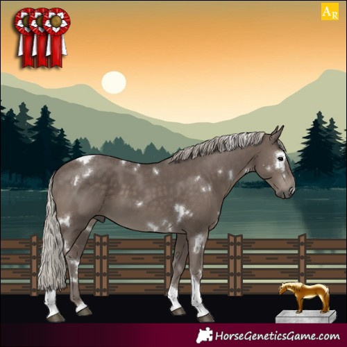 Horse Color:White Spotted Silver Black Tobiano 
