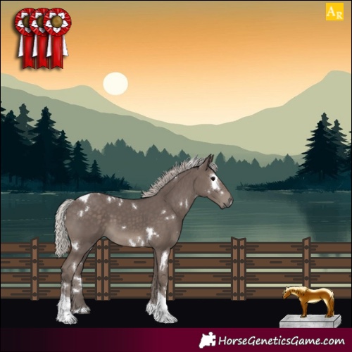 Horse Color:White Spotted Silver Black Tobiano 