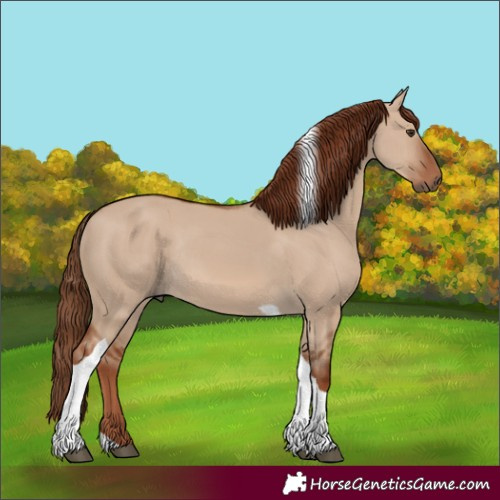 Horse Color:Red Dun Tobiano Rabicano 