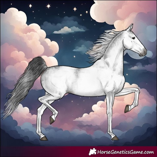 Horse Color:Gray White Spotted Black  and Gray White Spotted Black 