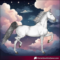 Horse Color:Gray White Spotted Black and Gray White Spotted Black