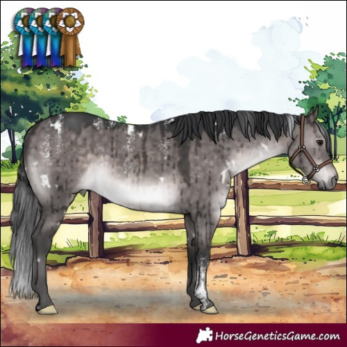 Horse Color:Powder White Platinum White Spotted Brown Dun Rabicano Brindle