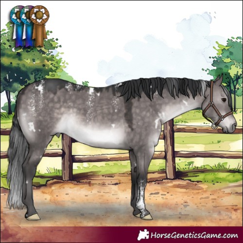 Horse Color:Powder White Platinum White Spotted Brown Dun Rabicano 