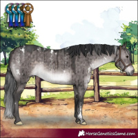 Horse Color:Powder White Platinum White Spotted Brown Dun Rabicano Brindle 