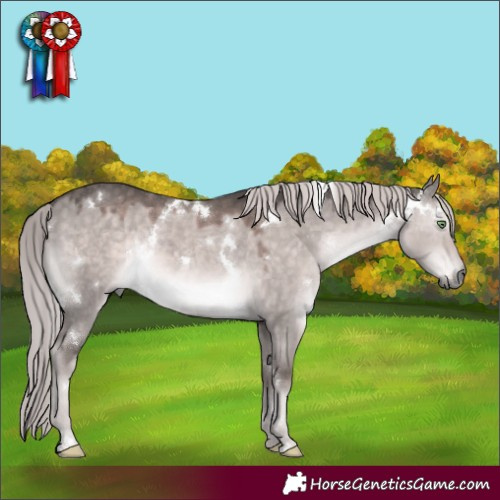 Horse Color:Platinum White Spotted Chocolate Palomino Dun Rabicano 