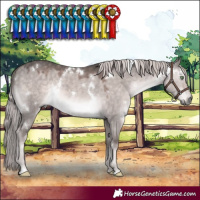 Horse Color:Platinum White Spotted Chocolate Palomino Dun Rabicano