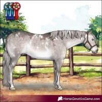 Horse Color:Platinum White Spotted Chocolate Palomino Dun Rabicano
