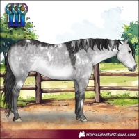 Horse Color:Platinum White Spotted Buckskin Dun Rabicano