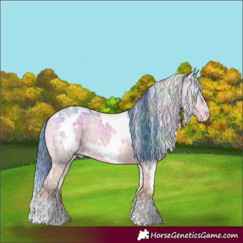 Horse Color:Nacre Watercolor White Spotted Brown Ice Onyx Appaloosa