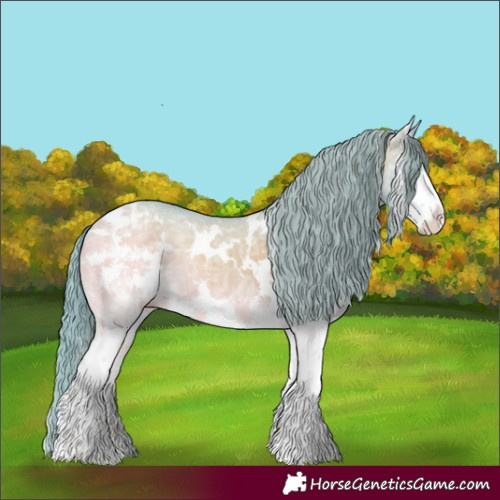 Horse Color:Watercolor White Spotted Smoky Grullo Ice Onyx Splash Appaloosa 