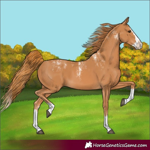 Horse Color:Powder White Chestnut Splash