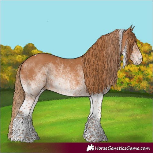 Horse Color:White Spotted Chestnut Tobiano Rabicano 