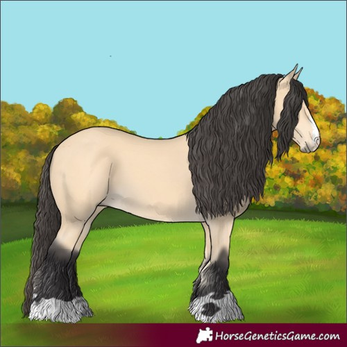 Horse Color:Buckskin