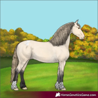 Horse Color:Buckskin Dun Varnish