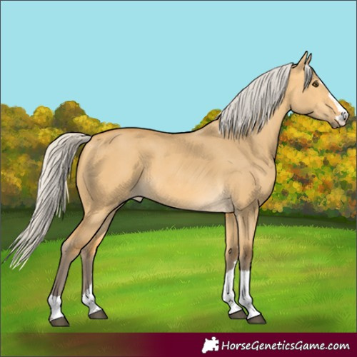 Horse Color:Silver Buckskin Dun