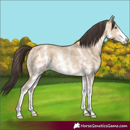 Horse Color:Amber Champagne Dun Sabino