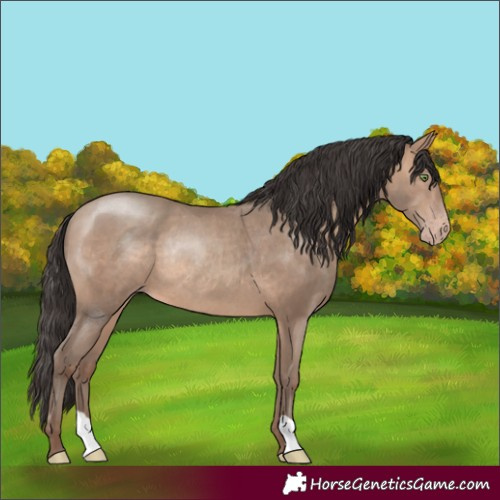 Horse Color:Sable Champagne Rabicano