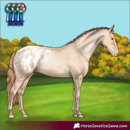 Horse Color:Classic Champagne Pearl Appaloosa Rabicano