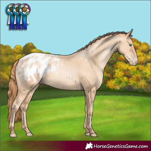 Horse Color:Classic Champagne Pearl Appaloosa Rabicano 