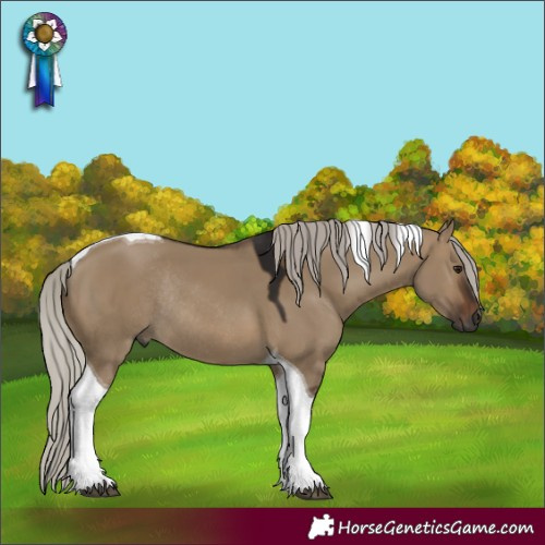 Horse Color:Gray Silver Brown Dun Tobiano Rabicano 