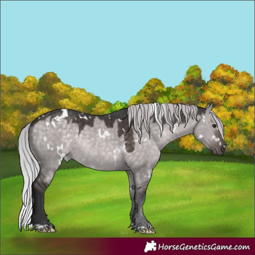 Horse Color:Platinum White Spotted Silver Brown Dun Rabicano 