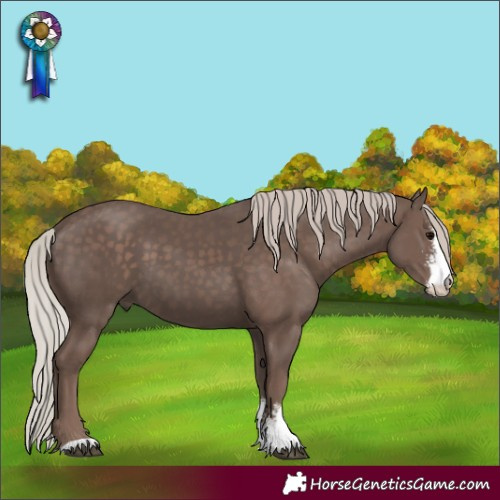 Horse Color:Silver Black Sabino 