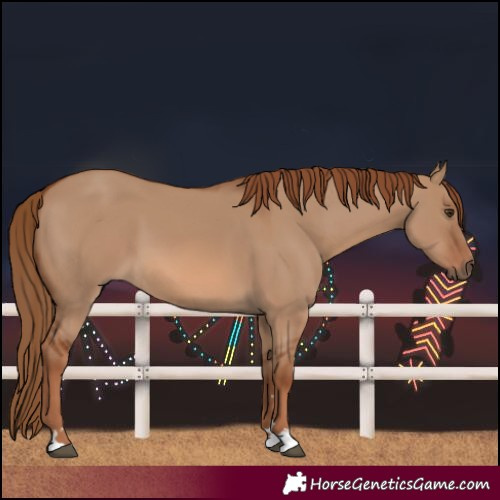 Horse Color:Red Dun