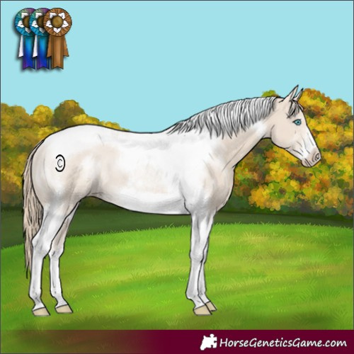 Horse Color:Smoky Creme Tobiano Frame 