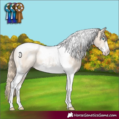 Horse Color:Smoky Creme Tobiano Frame 