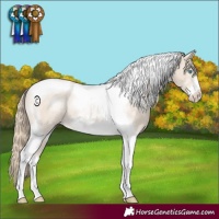 Horse Color:Smoky Creme Tobiano Frame
