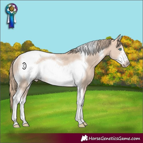 Horse Color:Perlino Tobiano Frame Rabicano