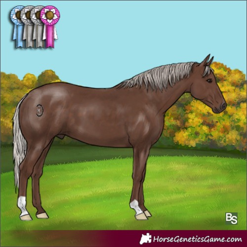 Horse Color:Silver Black