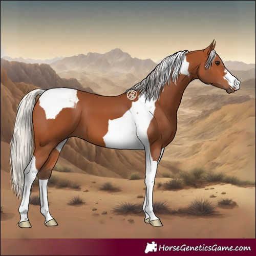 Horse Color:Silver Bay Tobiano 