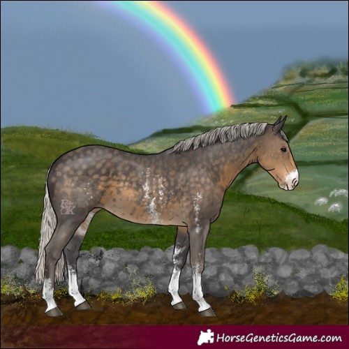 Horse Color:Silver Smoky Black Sabino