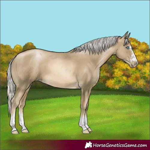 Horse Color:Silver Smoky Black Pearl 