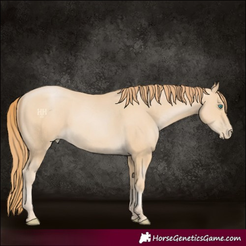 Horse Color:Smoky Black Pearl 