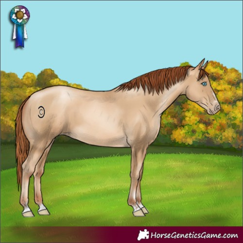 Horse Color:Gray Amber Cream Champagne Pearl 