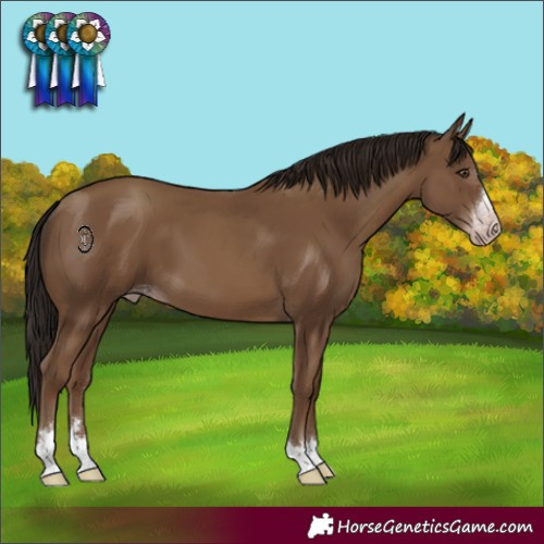 Horse Color:Gray Classic Champagne