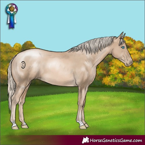 Horse Color:Chocolate Palomino Pearl