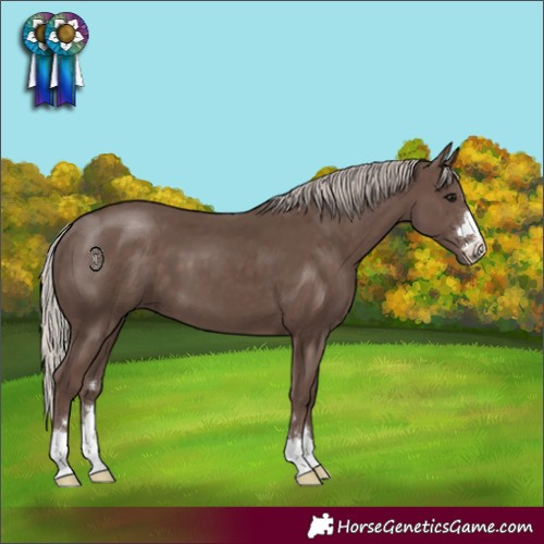 Horse Color:Silver Black