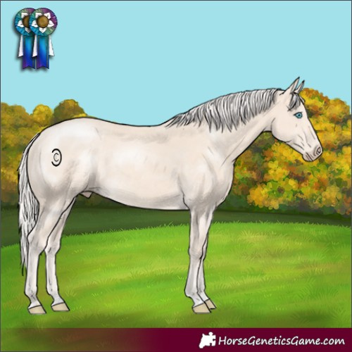 Horse Color:Cremello