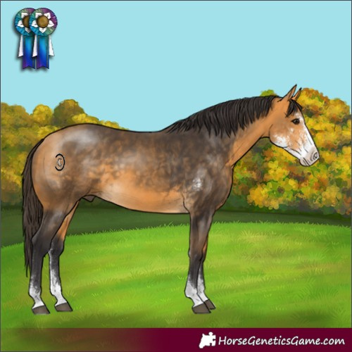 Horse Color:Buckskin Sabino