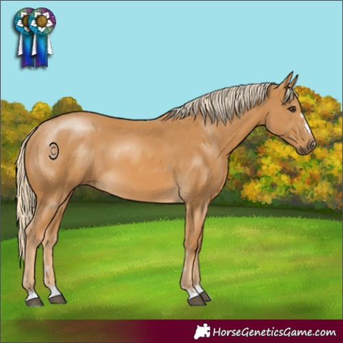 Horse Color:Palomino