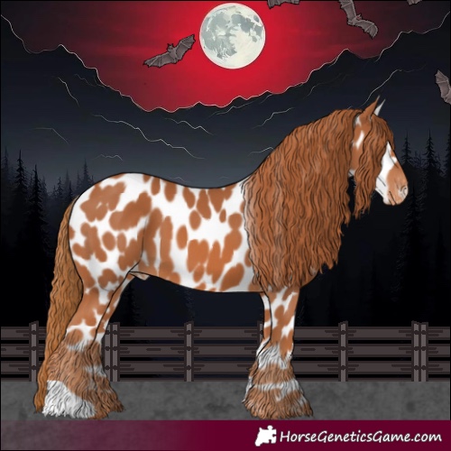 Horse Color:Chestnut Near Leopard 