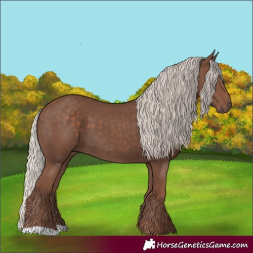 Horse Color:Silver Black